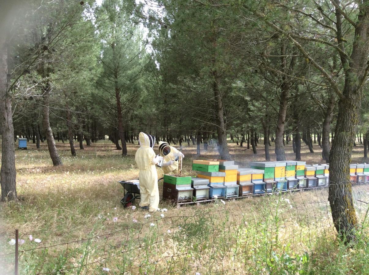Agriturismo Gennemara B&B Perdaxius Kültér fotó