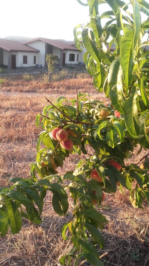 Agriturismo Gennemara B&B Perdaxius Kültér fotó