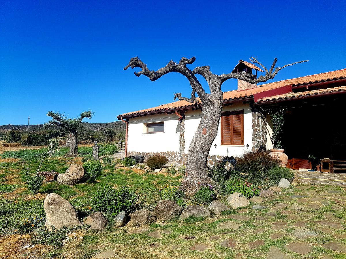 Agriturismo Gennemara B&B Perdaxius Kültér fotó